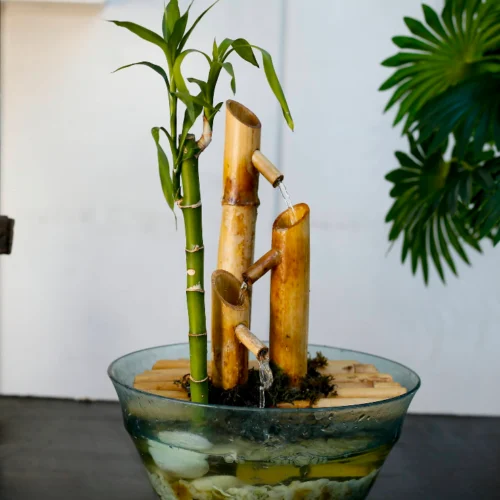 Fuente de bambú