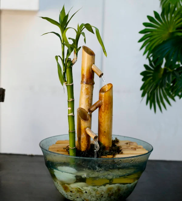 fuente-de-bambu-dWxvwMJ0KrulLzw5 Fuente de bambú