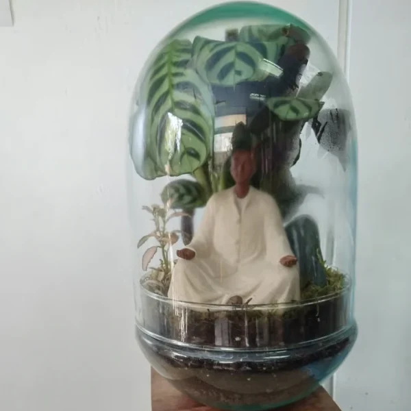 Jardín eterno de Buda