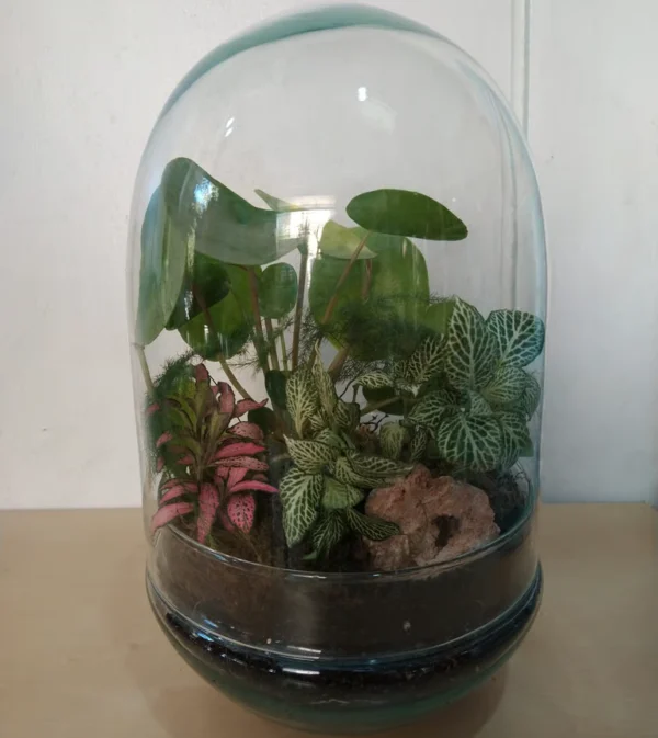 pequeno-eden El pequeño Edén