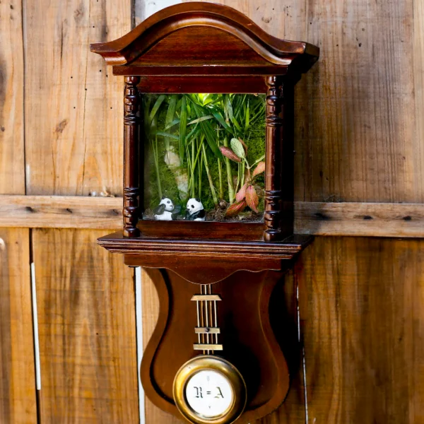 Terrario en reloj de pared vintage