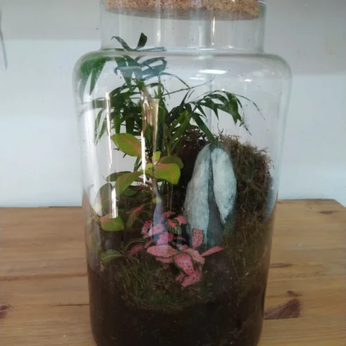 Terrario eterno con fittonias, musgo y chamaedorea