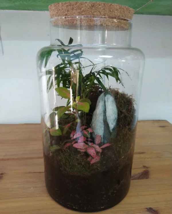 whatsapp-image-2025-04-05-at-18.13.02-1-AoPW6EQJ2LUZja98 Terrario eterno con fittonias, musgo y chamaedorea